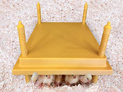 Titan Chick Heating Plate/Brooder Hen Heat Lamp Replacement - Up to 25 Chicks 12" x 12" - 20W
