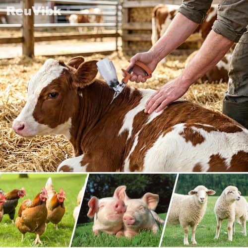 5ml Continuous Self-Refilling Livestock Syringe, 10 Needles Included | Adjustable dosage from 0.5ml to 5ml Veterinary Injection Gun for Chicken, Duck, Pig, Sheep, Cow Poultry - color: Yellow