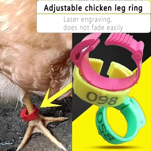 150 PCS Poultry Leg Bands, Adjustable Numbered Chicken Leg Rings for Identification, 5 Colors for Chickens, Ducks, Geese, Turkeys, Farm Management