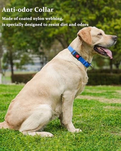 Waterproof Martingale Collar for Dogs,Easy to Clean Dog Collars with Safety Quick Release Buckle,Rubber Collar for Medium Large Dogs Walking Training (Blue, M (16.5-20.8inch)) - color: Blue, size: M (16.5-20.8inch)