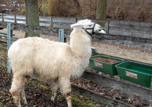 Large Feed Trough and Goat Feeder - 2 Pack Hanging Feeder with Clips, Waterer Bucket, Fence Feed Trough, Goat Supplies, 10 Quart - color: Greener