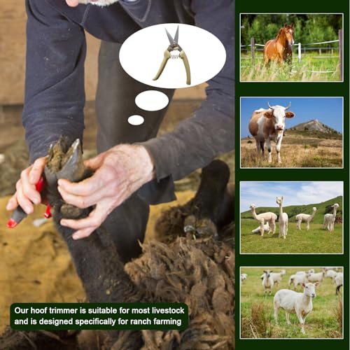 14 Inch Professional Hoof Trimming Kit, 8 Piece Farrier Tools Set with Hoof Nippers, Rasp, Shear Cutter, Hoof Knife, Sharpener, Pick, Gloves, Storage Bag, for Horse Goat Pig Hoof Care - size: 14.5 Inch