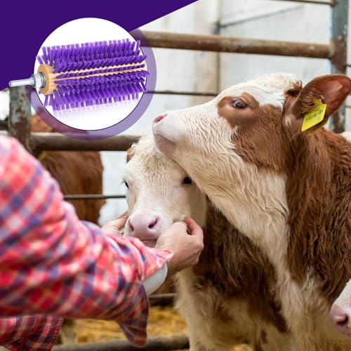 Willinglong 2 Pcs 5.35 inches Livestock Mini Drill Scratch Brush Purple Brush Grooming Kit Suitable for Cattle, Cows, Horses, Sheep and Pigs - size: 5.35 Inch