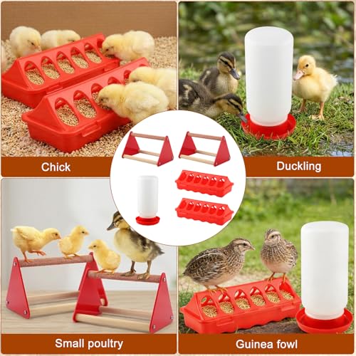 Chick Feeder and Waterer Kit with 2 Chick Perch Roost Bars | Flip Top Poultry Feeder, Chick Brooder Starter Kit, Baby Chicken Supplies for Chicks, Duck and Quail