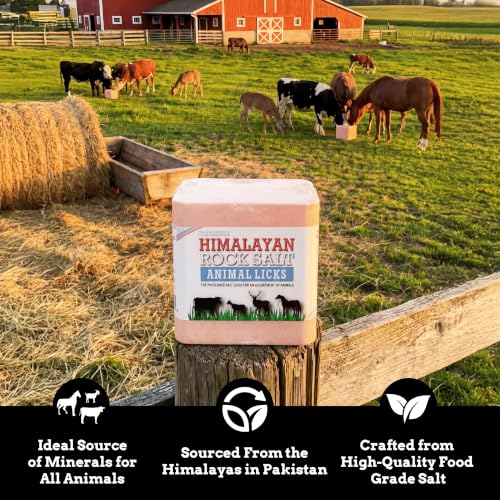 Compressed Salt Lick for Livestock & Wildlife, 11 lb - size: 11 Pound (Pack of 1)