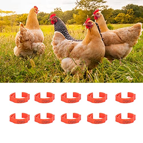 Poultry Leg Bands Clip On Numbers Foot Rings 100 PCS Bag Chicken Supplies