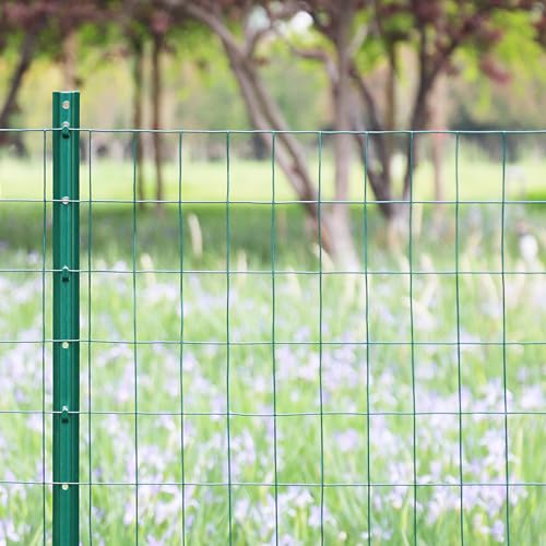 Green PVC Coated Welded Wire Fence 36" x 50' Roll, 2"x3" Mesh, 16 Gauge | Vinyl Coated Garden Fencing, Yard & Pet Barrier, Chicken Wire Fencing, Dog Enclosure Mesh, Vegetable Plant Protector - color: Green, size: 2''x3'' 16GA 36''x50'