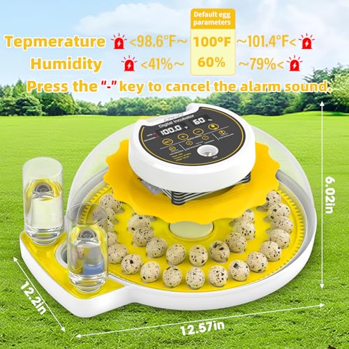 Quail Egg Incubator for Hatching 40 Quail Eggs with Automatic Turner | and Humidity Control,Small Brooder, Outdoor Poultry Egg Incubator, Suitable for Parrot Canary and Other Bird - color: Yellow