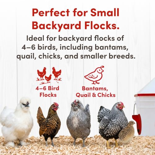RentACoop Chick2Chicken 10lb Feeder & 2 Gallon Waterer Set - size: Set with Nipples and Auto-Refill Cups