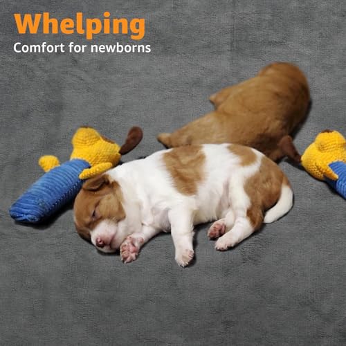 Washable Dog Pee Pads, 34x52, Absorbent, Waterproof, Reusable Whelping Pads | Non-Slip, Dog Mats for Puppy Training, Whelping, Potty, Playpen, Crate, Incontinence, Housebreaking - size: 34"x52"