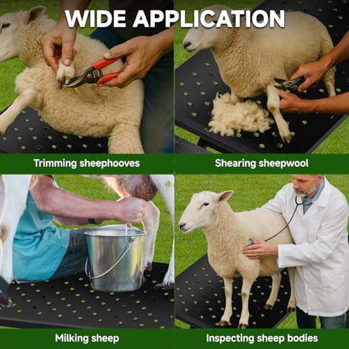 Goat Milking Stand with Ramp, Livestock Trimming Goat Stand with Adjustable Headpiece & Legs, and Feed Bin, 600LBS Heavy Duty Sheep Stand for Lambs Shearing, Grooming & Hoof Trimming, Black | Goat stand with ramp foldable stong load capacity