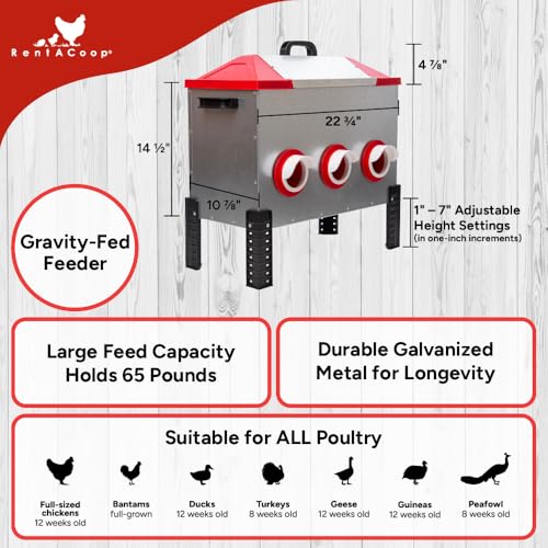 RentACoop 65 lb Large Capacity Chicken Feeder with 6 Ports, Adjustable Legs - size: 65 LB