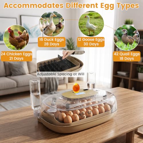 Egg Incubators for Hatching Eggs, for Chicken, Duck & Quail Eggs | | Hold 12-42 Eggs | Temperature & Humidity Control | Automatic Egg Turning | Egg Candler | 2 Water Bottles | Air Vents |