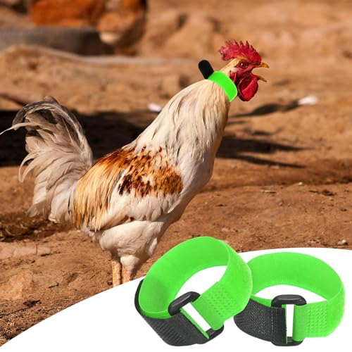 M METERXITY 10-Pack Rooster Collars, 8.07" x 0.79" Adjustable Soft Polyester Anti-Noise Neck Belt for Chickens and Poultry Birds, Noise Control Collar [Green] - color: Green