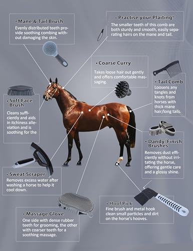 Harrison Howard Complete Horse Grooming Set, 11-Piece Advanced Daily Grooming Tools with Extra Brushes for Full Horse Care Black Brushstroke Ponies - color: Black
