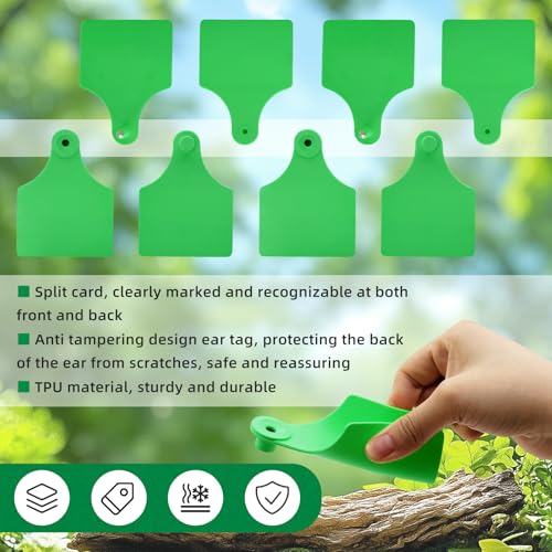 TPU Large Size Split Type Blank Large Cattle Ear Tags,50PCS Upgrade to Prevent Tampering Livestock Ear Tags, for Cattle,Sheep Goat, Pig, 3.9x2.9in (Green) - color: Green