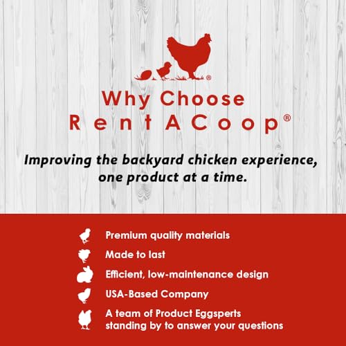RentACoop Chick Swing