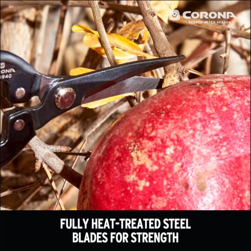 Corona Tools Long Curved Snips – 1.75″ Tempered Steel Precision Garden Shears for Fruit, Herbs, Flowers & Vineyard Use