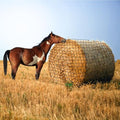 Large Round Bale Hay Net for Horses&Goats-Knotless Slow Feeder Hay | Net with 1.57 Inch Holes, Thick Nylon Mesh for Healthier Feeding of Livestock (5x5ft)