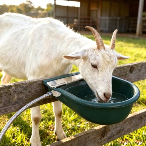 Automatic Water Bowl Livestock Waterer for Horse Cattle Goat Sheep Dog | Float Valve Auto-Fill | Outdoor Water Trough with Drainage Hole & 39.37 inch Pipe | Farm Grade