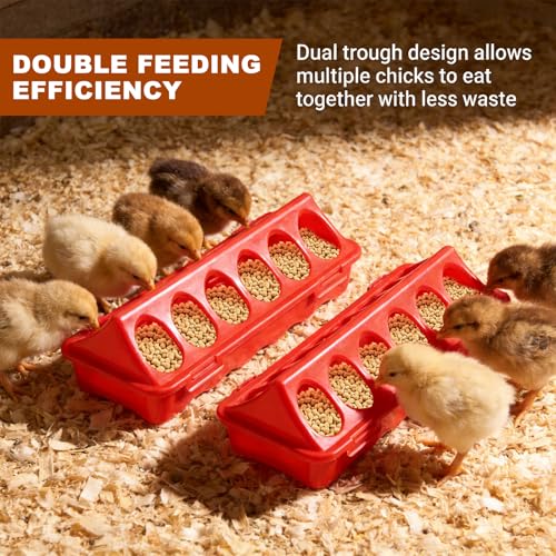 Chick Feeder and Waterer Kit with 2 Chick Perch Roost Bars | Flip Top Poultry Feeder, Chick Brooder Starter Kit, Baby Chicken Supplies for Chicks, Duck and Quail