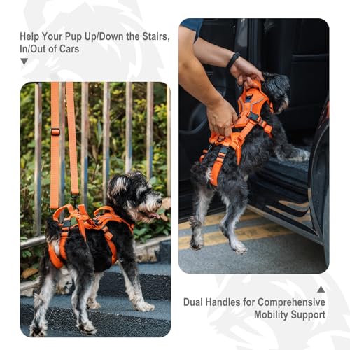 OneTigris Lift Harness for Small Dogs XS, Sling Carrier to Help Lift and Walk, Outdoor Full Body Support with Reflective Straps for Back Legs - color: Orange, size: Small