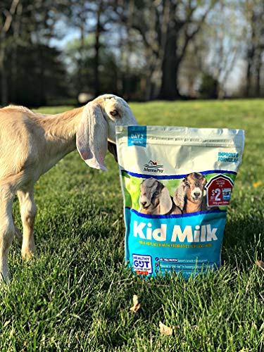 Manna Pro Goat Kid Milk Replacer with Opti-Gut, 4 lb Bag | High-Protein Milk Replacer, Opti-Gut Digestive Support, Easy-to-Mix Formula, Supports Healthy Kid Goat Growth - size: 4 Pound (Pack of 1)