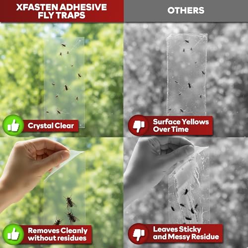 XFasten Window Fly Traps Sticky Clear 50-Pack Fruit Fly Traps for Indoors Sticky, Residue-Free, Odorless, Discreet Adhesive Indoor Catcher for Fruit Flies Houseflies, Gnats on Windows Kitchen Garage - style: 50-Pack