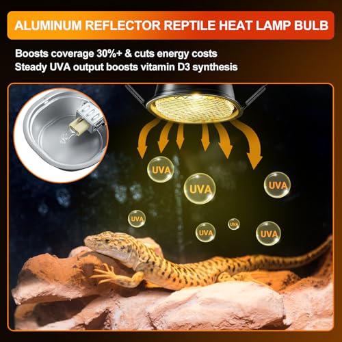 REPTI ZOO G9 Reptile Heat Lamp Bulb & Reptile Light Fixture with Safety Mesh Kit, 50W UVA Basking Light Fixture for Bearded Dragon Gecko Lizard Turtle Snake Chicken, Low Profile Warm White Heat Bulb
