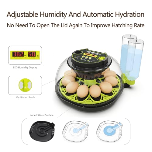 Incubators for Hatching Eggs 12 Egg Incubator with Automatic Egg Turning and Humidity Control,Egg Candler,Auto Water Replenishment,for Chicken Eggs and Quail Egg M12H - color: Green