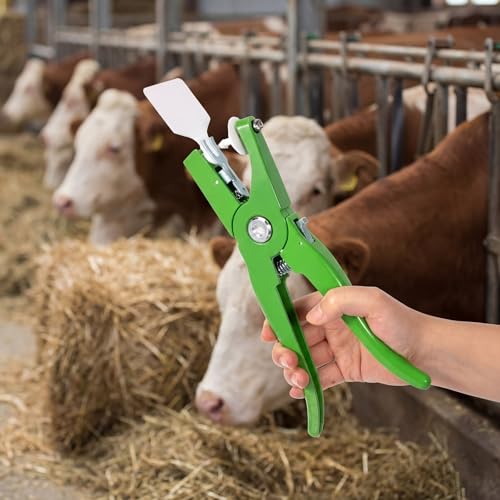 Lothee 100 Pcs Blank Cattle Ear Tags with Pliers Large White Plastic Precision Animal Identification Blank Livestock Ear Tags for Cattle Cow Horse Dog Pig Goat Sheep Farm Management - color: White