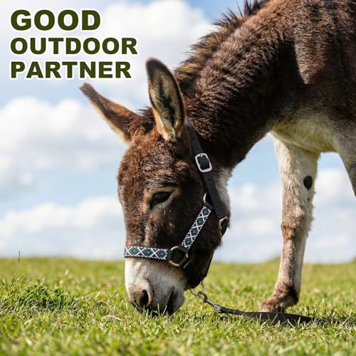 1 Set Mini Donkey Halter with Lead Rope Adjust, Black | Nylon Head Collar, Cute and Stylish, for Miniature Donkey and Small Equines, Farm Ranch Pasture Outdoor, Gingham Plaid Trim - color: Black