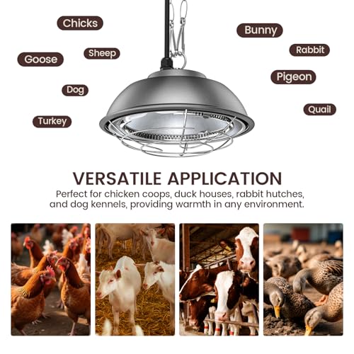 350 Watt Heat Lamp for Chickens - Chtoocy Chicken Coop Heater with Carbon Fiber Bulb, 5.2FT Thickened Power Cord & Chicken Heat Lamp with 2 Temperature Adjustable (175/350W) for Chicks, Ducks and Pets