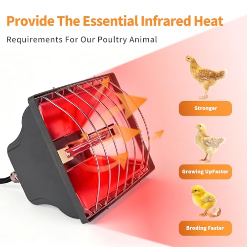 2-Pack 250W Chicken Coop Heat Lamp with Guard & Adjustable Temp | Adjustable 175W/250W infrared heater with safety guard. For chicks, poultry, livestock & small pets. Durable brooder heating. - size: 2 Pack