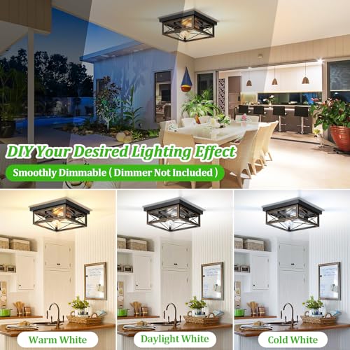 Oil Rubbed Bronze Hallway Light Fixture Ceiling, 2-Light Farmhouse Industrial Flush Mount Ceiling Lamp, 1-Pack Metal Kitchen Light Fixture, Close to Ceiling Lamp for Bedroom Living Room Entryway - color: Oil-Rubbed Bronze, size: 1-Pack