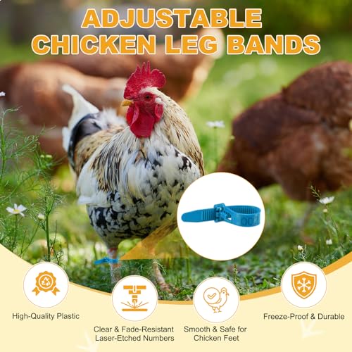 M METERXITY 100-Pack Adjustable Chicken Leg Bands, 10-28 mm Plastic Poultry Identification Chicken Leg Rings for Turkey/Duck/Goose/Chicks, Colorful Numbered Foot Clip on Tags [Blue] - color: Blue