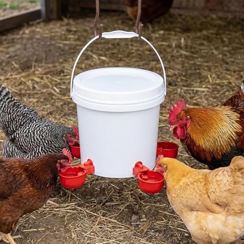 1 Gallon Chicken Waterer with Stand, 4 Cups and 4 Horizontal Nipples | Raised, lowered or hanging setup; top-fill bucket with handle; for chickens, ducks, geese, chicks and backyard coops