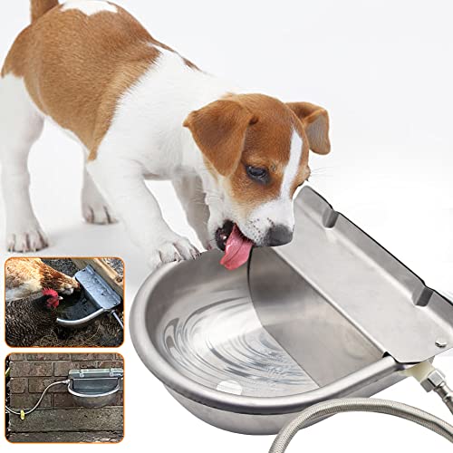 Automatic Livestock Water Bowl Float Valve Self-Filling Dog Goat Chicken | 304 Stainless Steel Animal Waterer Auto Refill, Horse Pig Cow Sheep Cat, Drainage, 3/4" GHT Hose & Mounting Bolts, Farm Ranch
