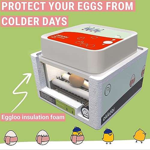 OBI-12 Egg Incubators for Hatching Eggs – Incubator for 12 Eggs with Automatic Egg Turner - Brooder for Chicken Eggs, Quail, and Duck Eggs - Orange - color: Orange