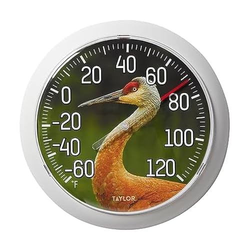Taylor Nature Series Sandhill Crane Indoor Outdoor Dial Thermometer, Easy to Read Wall Decor for Patio, Pool, Yard, Garden or Garage, 8.5 Inch, Gray Bezel - style: Sandhill Crane