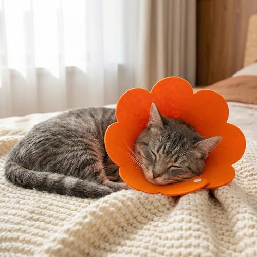 3Pcs Cat Recovery Collar Cat Protection Cones for Cats Sunflower Neck Cone Anti-Licking Recovery Collar to Prevent from Biting Scratching(Pink, Orange, Blue) (S)