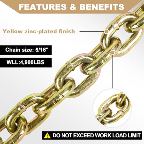 AAIN 4900LBS Transport Binder Chain 5/16"x20' G80 Tow Chain with Grab Hooks | 4,900 lbs Safe Working Load | G70 Grab Hooks | Heavy Duty Logging Chain for Transporting,Towing,Logging Tie Down Binding - size: 5/16 Inch - 20 FT, style: 1 Pack