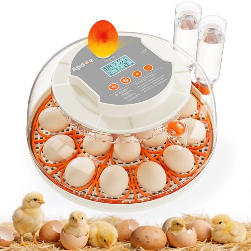 APDOE Egg Incubators for Hatching Eggs, Temperature and Humidity Control, Automatic Egg Turning, Egg Candler, External Water Bottle, Air Vent, for Chicken, Duck & Quail Eggs, 18 Eggs - color: White + Orange, size: 18 Eggs + 8 Large Eggs