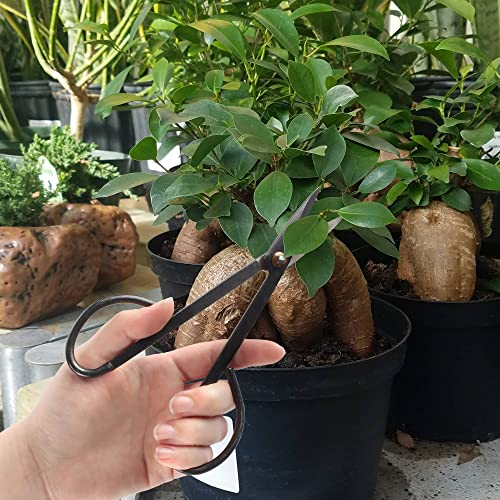 BambooMN 7.2" Black Bonsai Trimming Shear - 3 Pieces - color: 7.2" Trimming Shear, size: 3