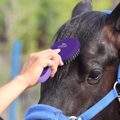 Harrison Howard Horse Mane and Tail Brush - Professional Grooming Brush, Equestrian Detangler, Non-Slip, Purple - color: Purple