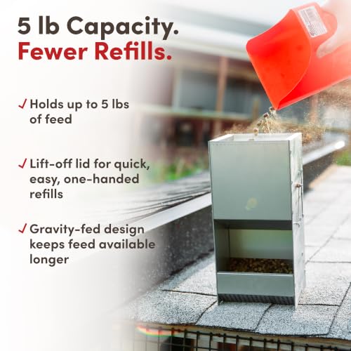 RAC Paws by RentACoop 5 lb. Metal Rabbit Feeder
