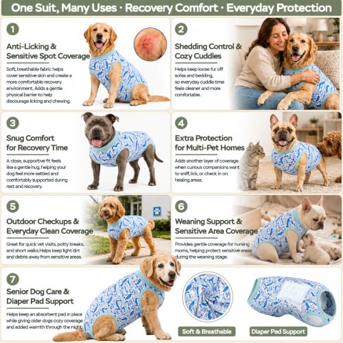 PetWarm Dog Recovery Suit After Surgery, Cone of Shame Alternatives, Anti-Licking Pet Surgical Recovery Pajamas Dog Onesie for Spay Neuter, Marine Animal Patterns, Blue, 2XL - color: White Blue, size: XX-Large