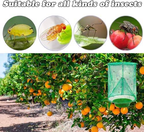 6 Pack Ranch Fly Trap, 2026 New Hanging Fly Catcher, The Most Effective Trap Ever Made with Pots, Cage Catcher for Indoor and Outdoor, Family Farms, Park, Restaurants, Green