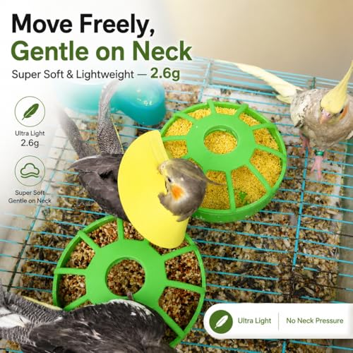 4pcs Bird Cone Collar Cockatiel/Sun Conure | Bird Elizabethan Collar for Wound Biting Prevention&Feather Plucking, Protective Recovery Cone for Lovebird Cockatiel Parrots - size: M