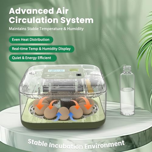12 Egg Incubator with Humidity Display & Built-in Candler, Automatic Turner, Temp & Humidity Control, Auto Water Refill – Digital Hatcher for Chicken, Duck, Quail, Parrot (Green, 12 Egg) - color: Green, size: 12 Egg